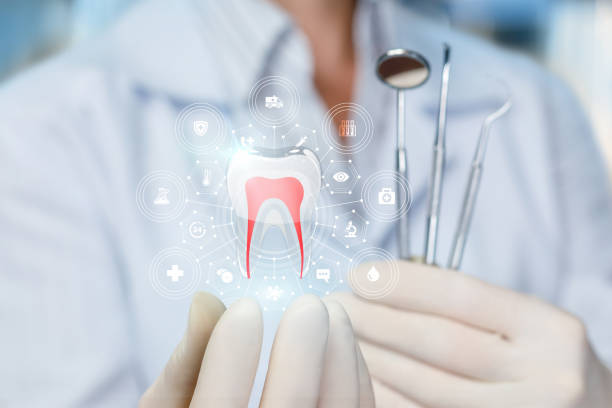 Professional Dental Services in Lagunitas Forest Knolls, CA